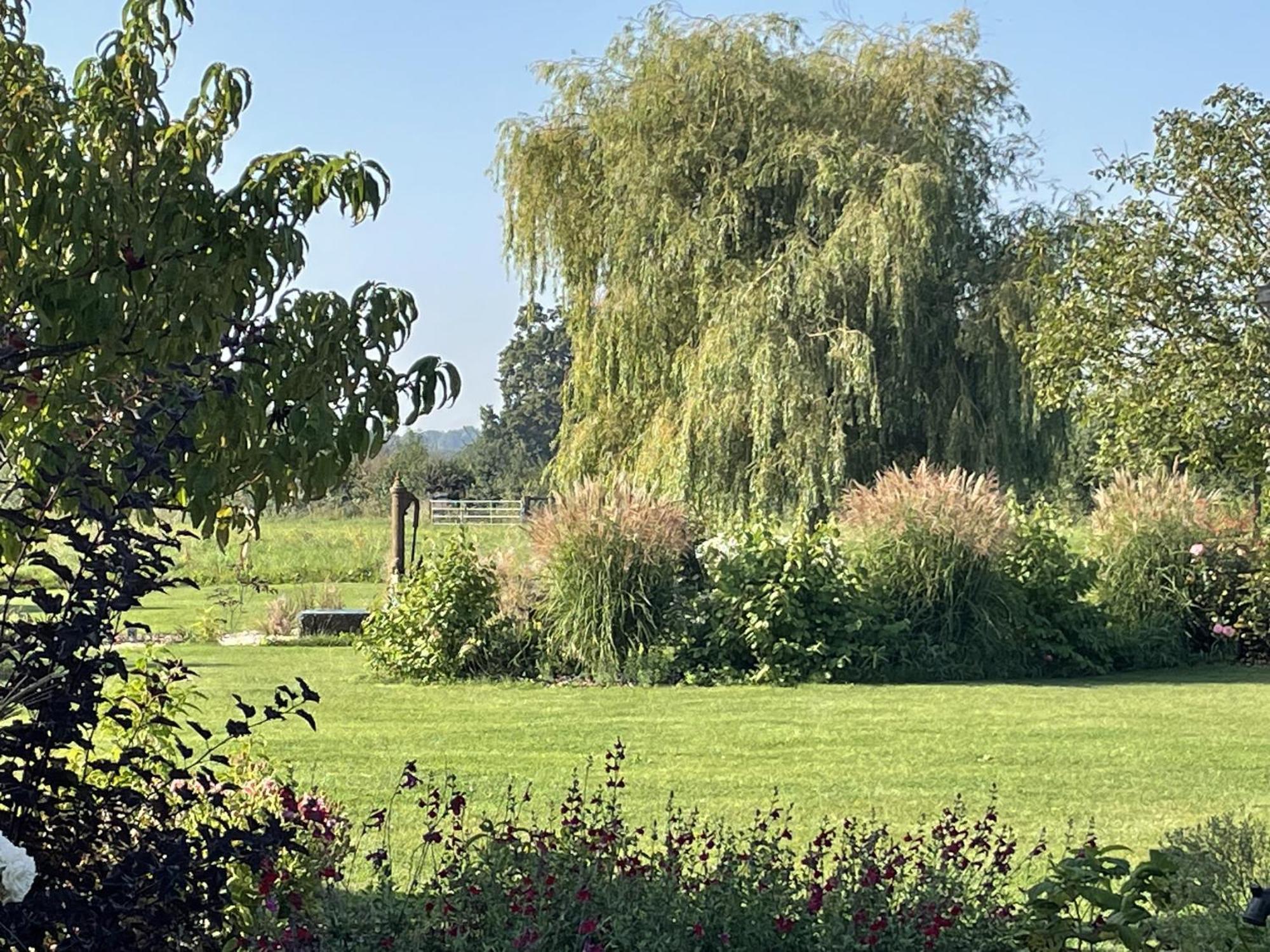 Ellon Aurefees B&B 외부 사진