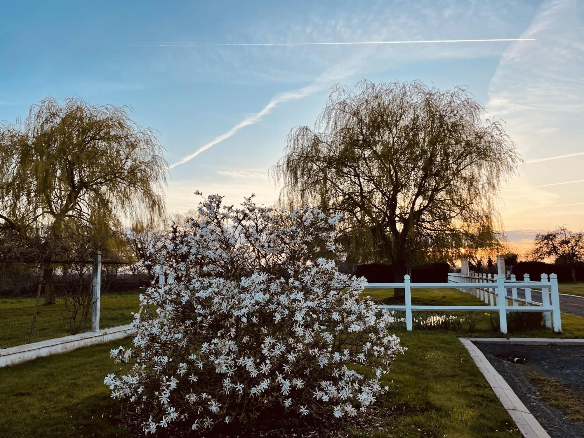 Ellon Aurefees B&B 외부 사진