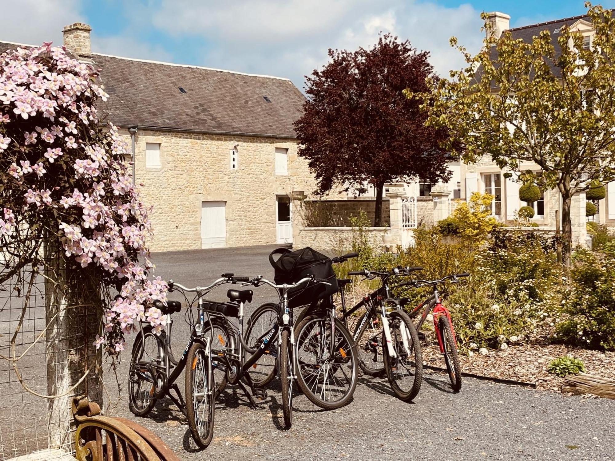 Ellon Aurefees B&B 외부 사진